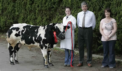 Laura Ervine first in the senior bull class with Wilfred Lomas judge and Many Herbinson sponsor from the Meatjoint Antrim and Lisburn